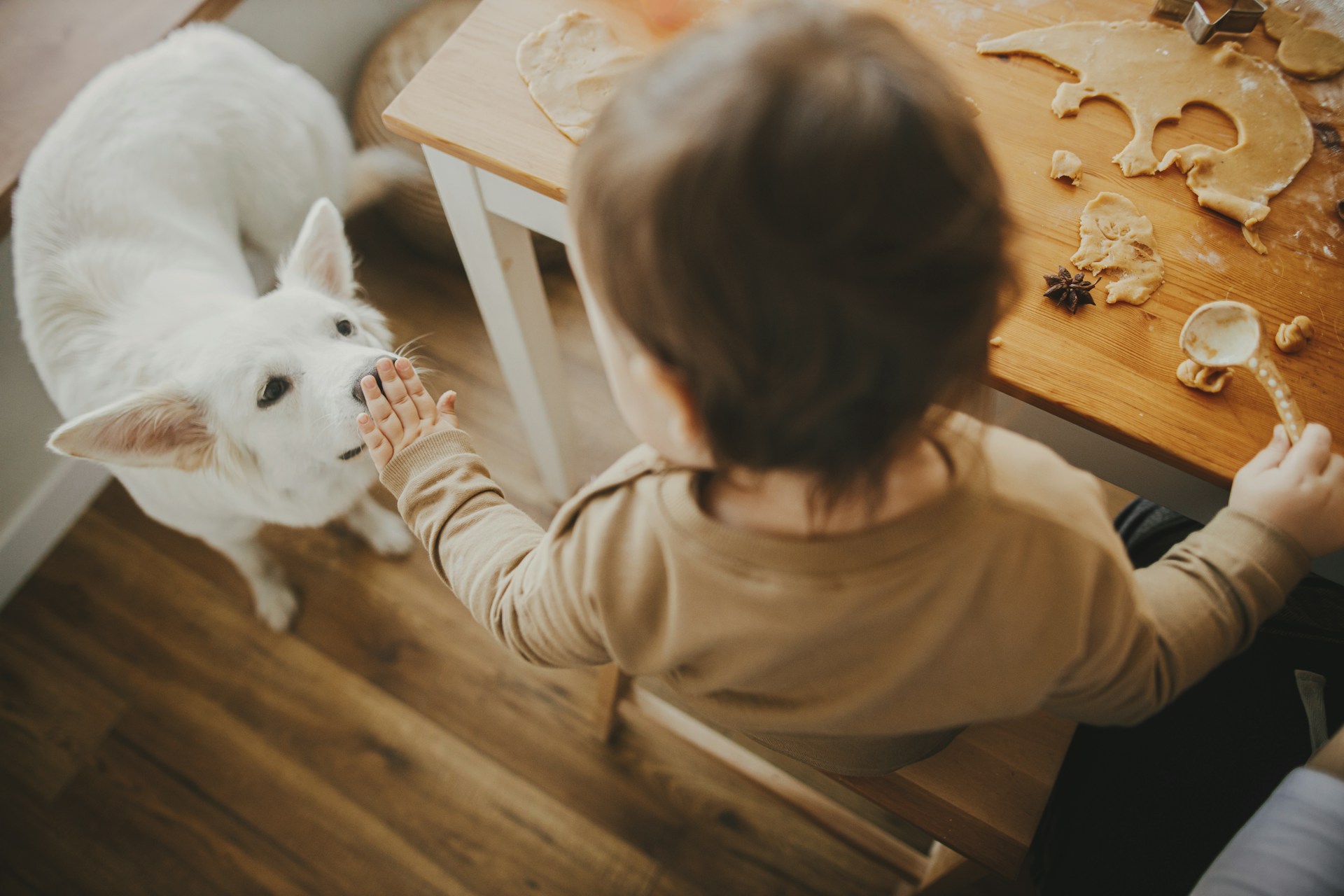 Kid & pet-friendly flooring